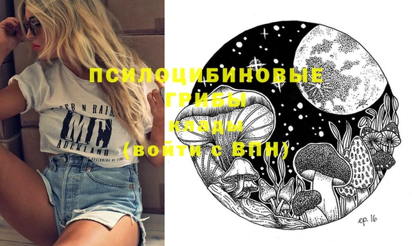 круглые Абаза